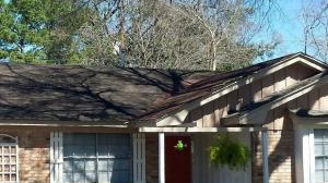 image for A New Freedom Sober Living Coed Recovery Home