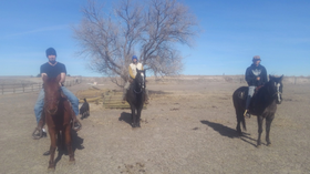 image for Ash Ranch Sanctuary and Refuge Men's Recovery Home