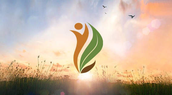image for A Better Today  Coed Sober House