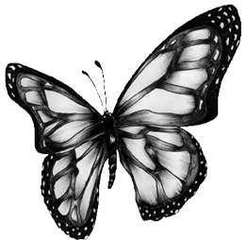 image for Mariposa Recovery Services Coed Recovery House