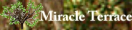 image for Upscale Sober Living House Coed Recovery Home